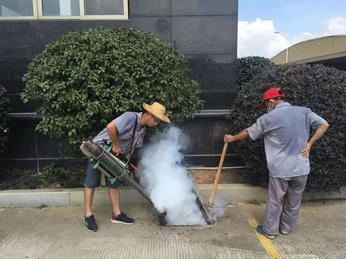 廣州增城專業除四害與保潔服務 守護家庭與環境健康